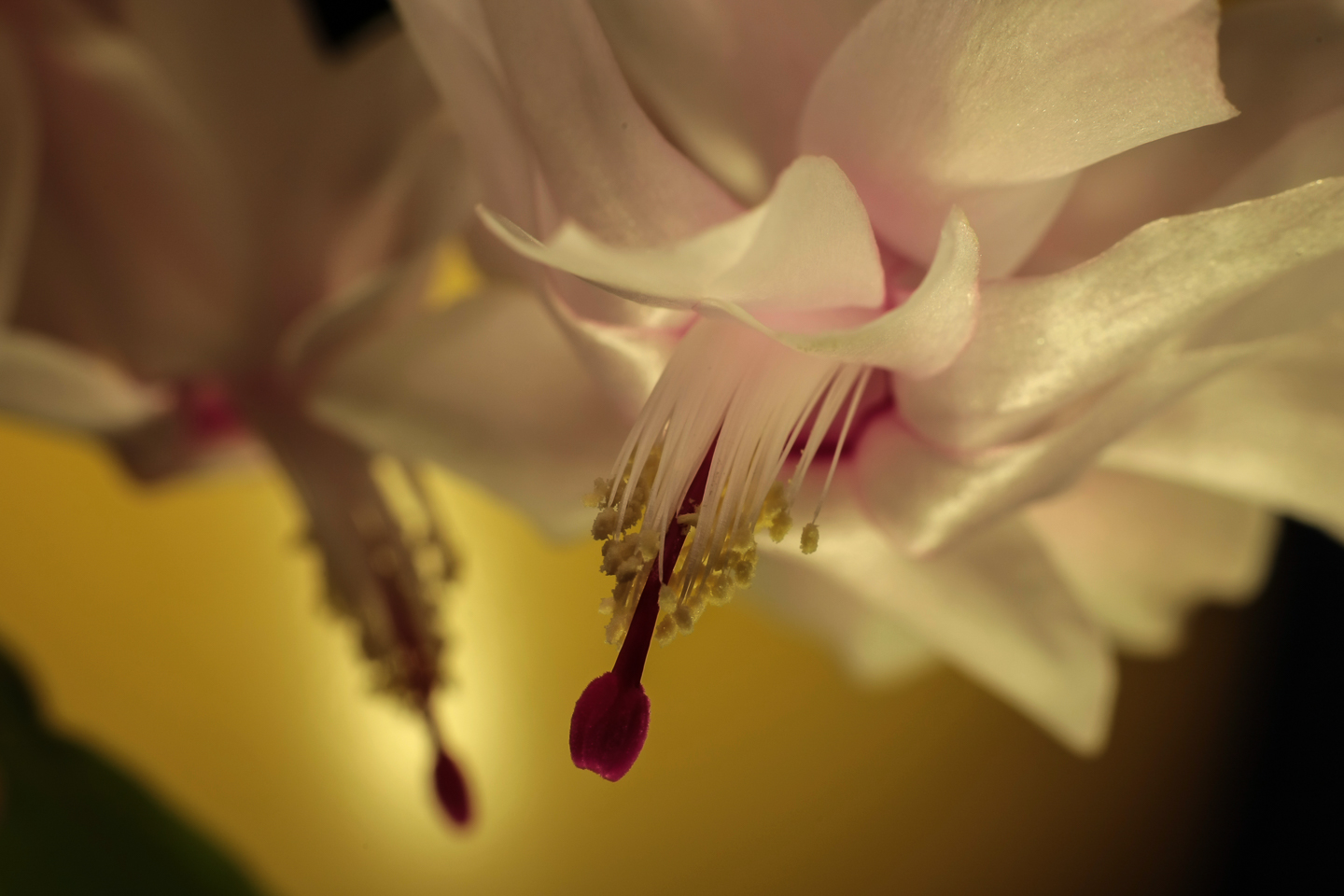 50 mm  1,0 Sek. bei f / 11