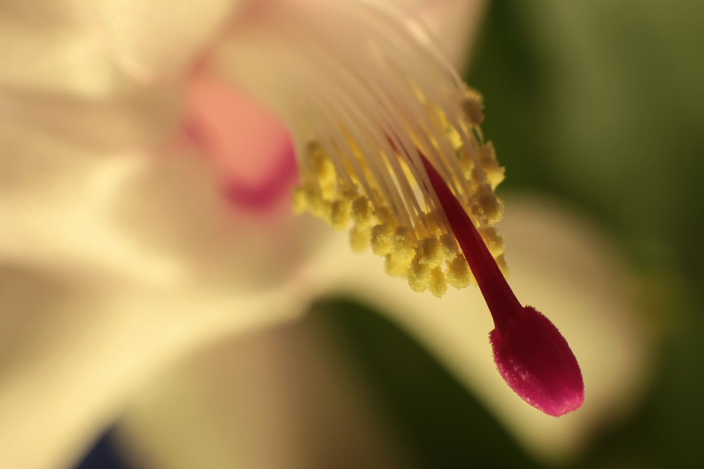 50 mm  4,0 Sek. bei f / 11