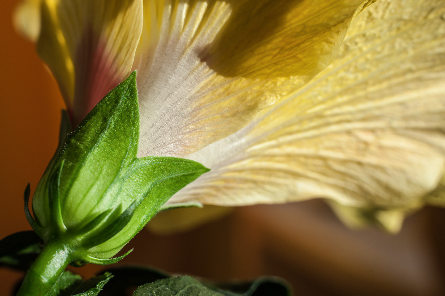 50 mm  1/90 Sek. bei f / 8,0