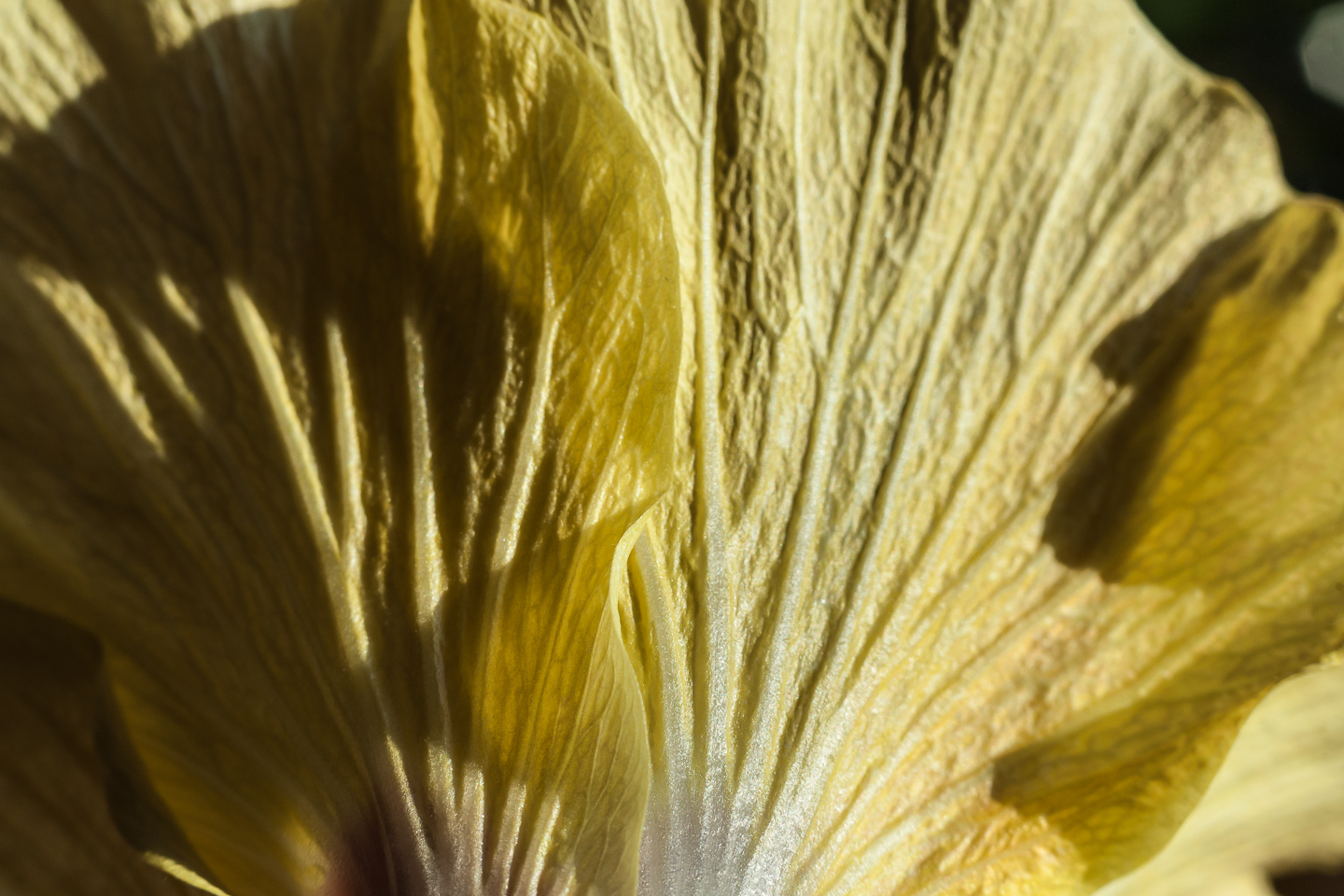 50 mm  1/125 Sek. bei f / 8,0