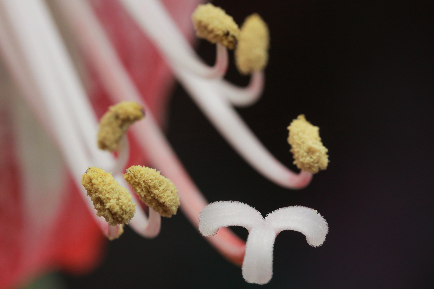 60 mm  1/125 Sek. bei f / 8,0