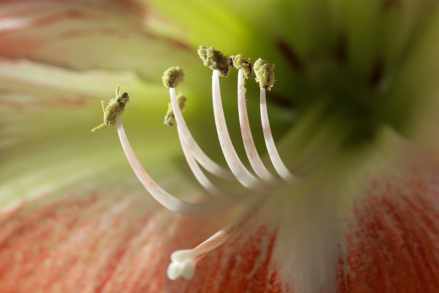 60 mm  1/125 Sek. bei f / 8,0