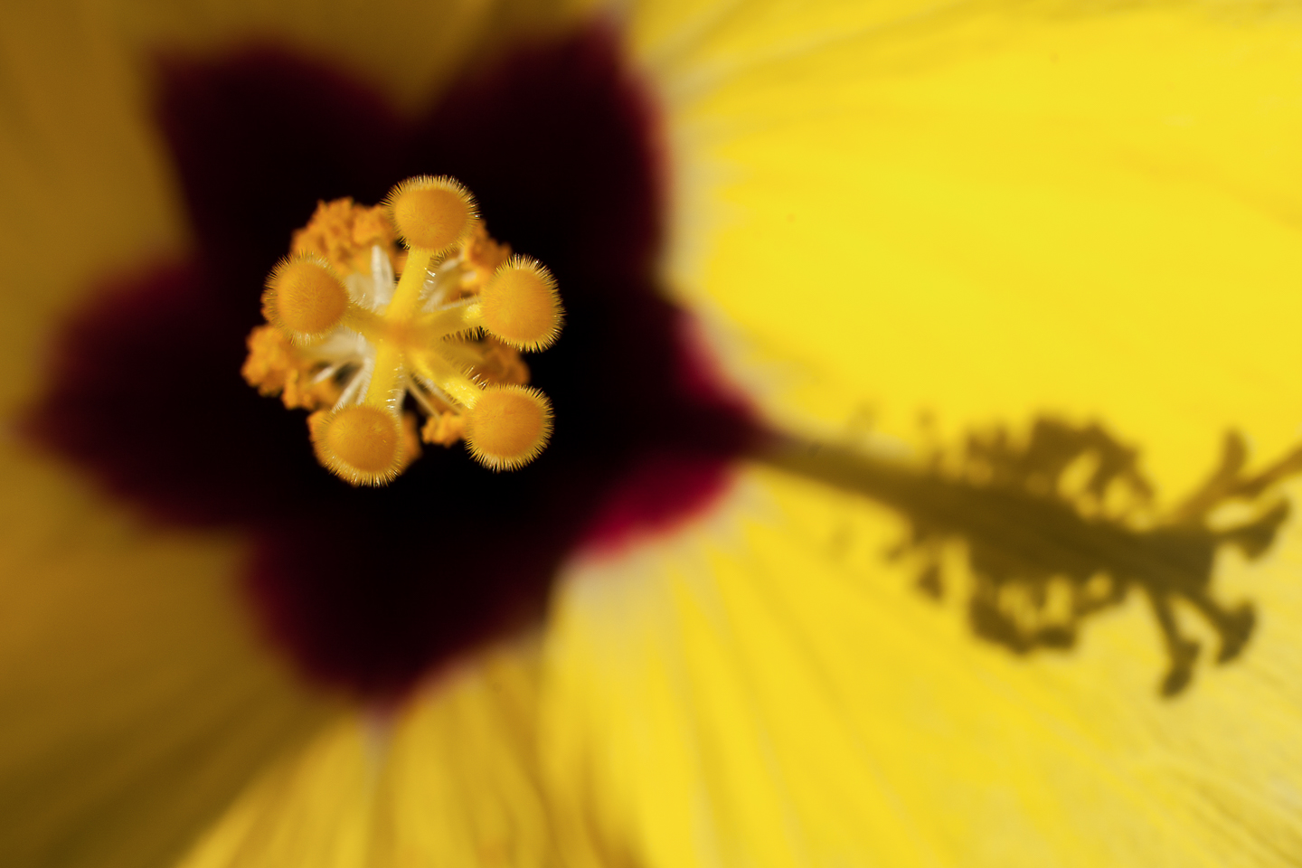 50 mm  1/90 Sek. bei f / 8,0