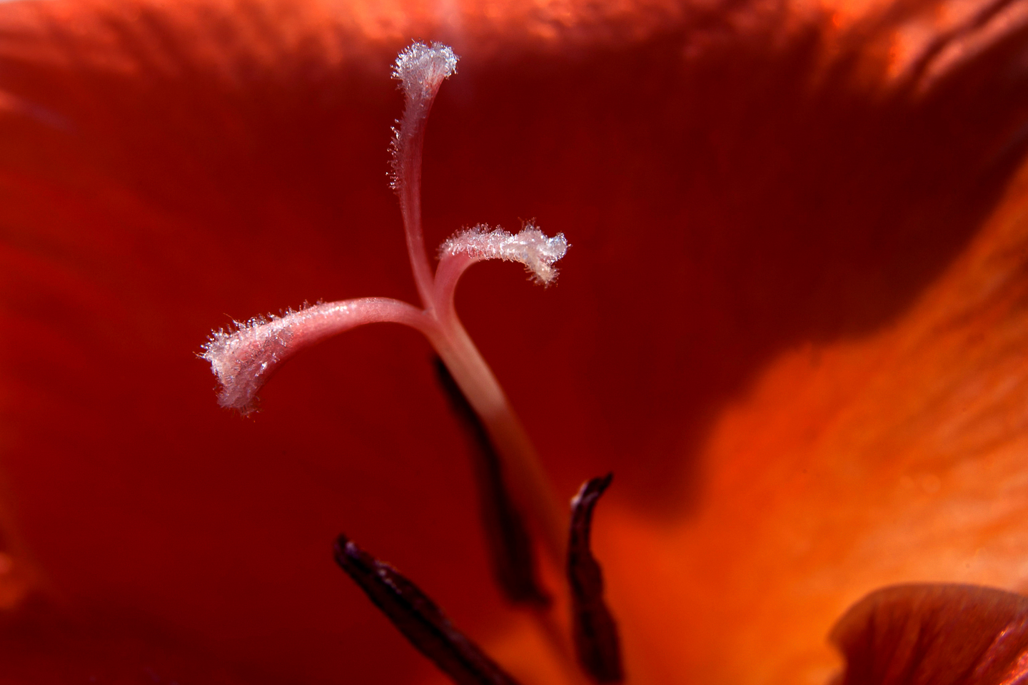 29 mm  1/45 Sek. bei f / 11