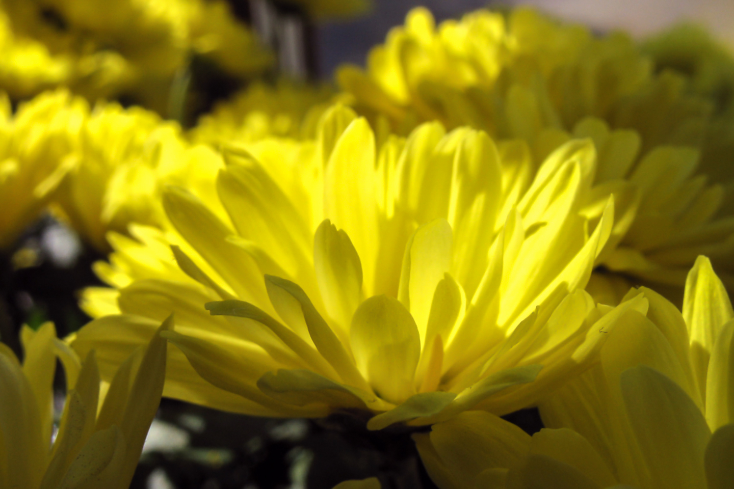 7.3 mm  1/160 Sek. bei f / 8,0