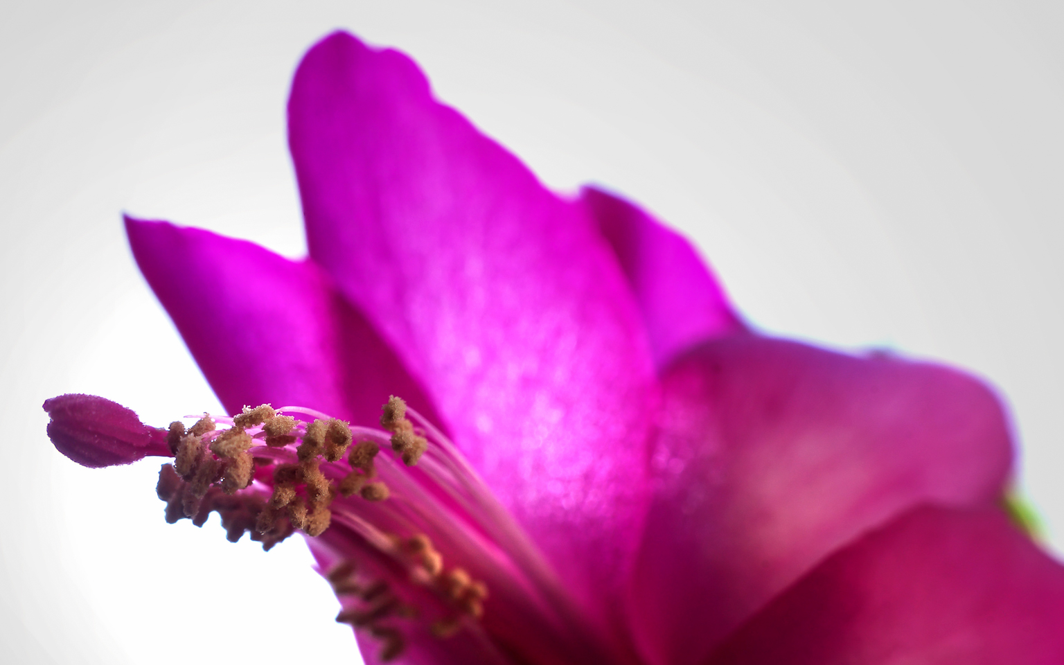 50 mm  1/20 Sek. bei f / 8,0