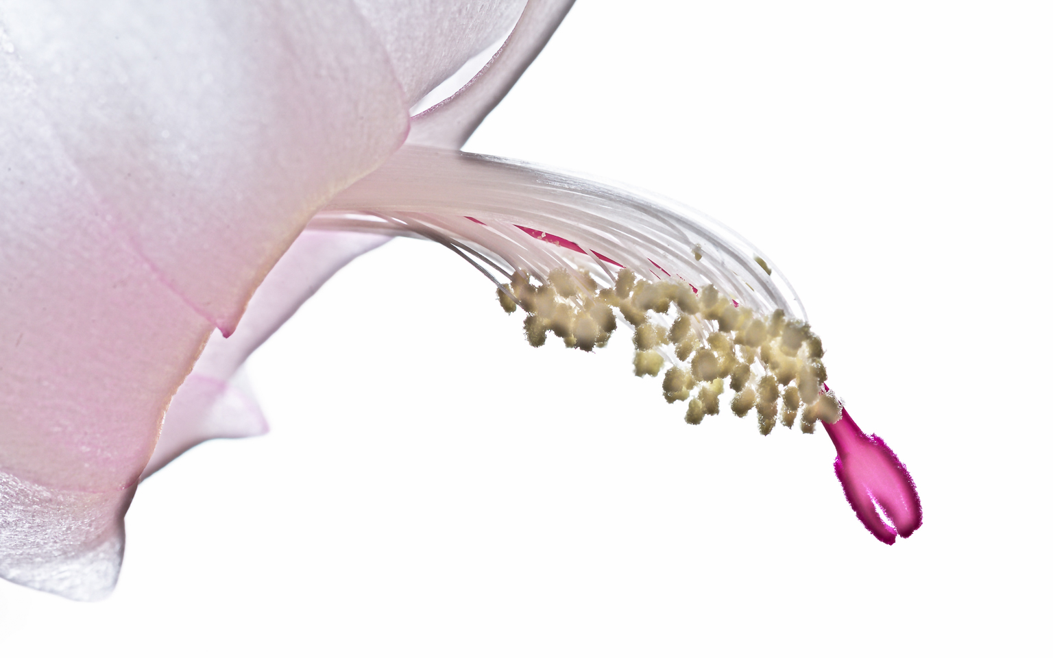 150 mm  2,0 Sek. bei f / 11