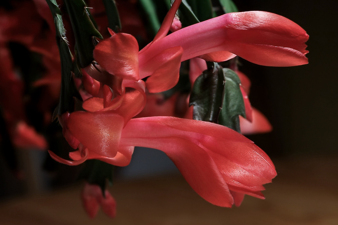 40 mm  1/6 Sek. bei f / 6,7