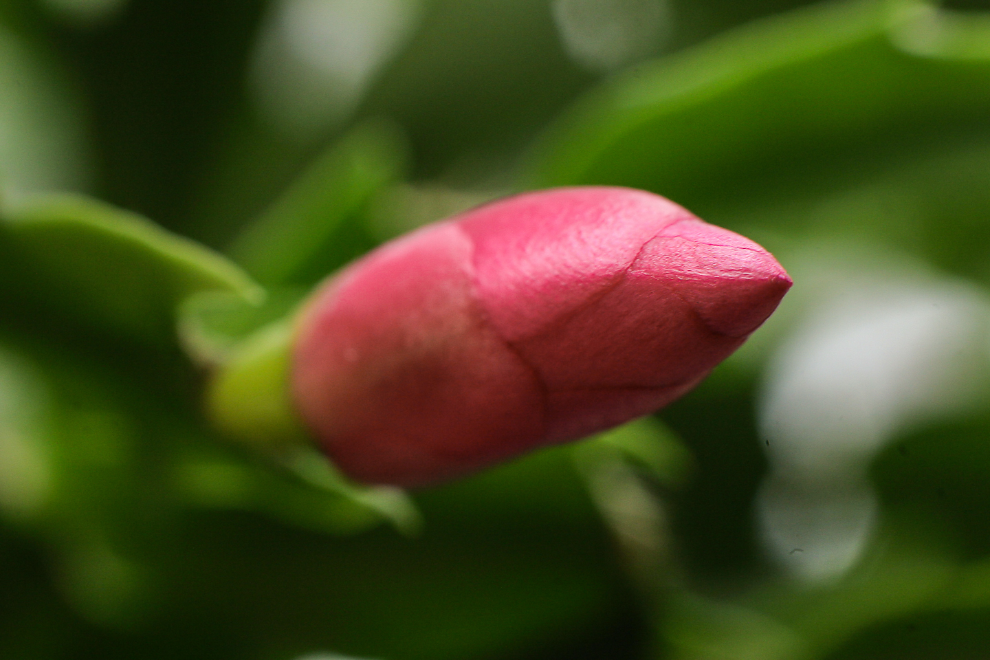 50 mm  1/90 Sek. bei f / 8,0