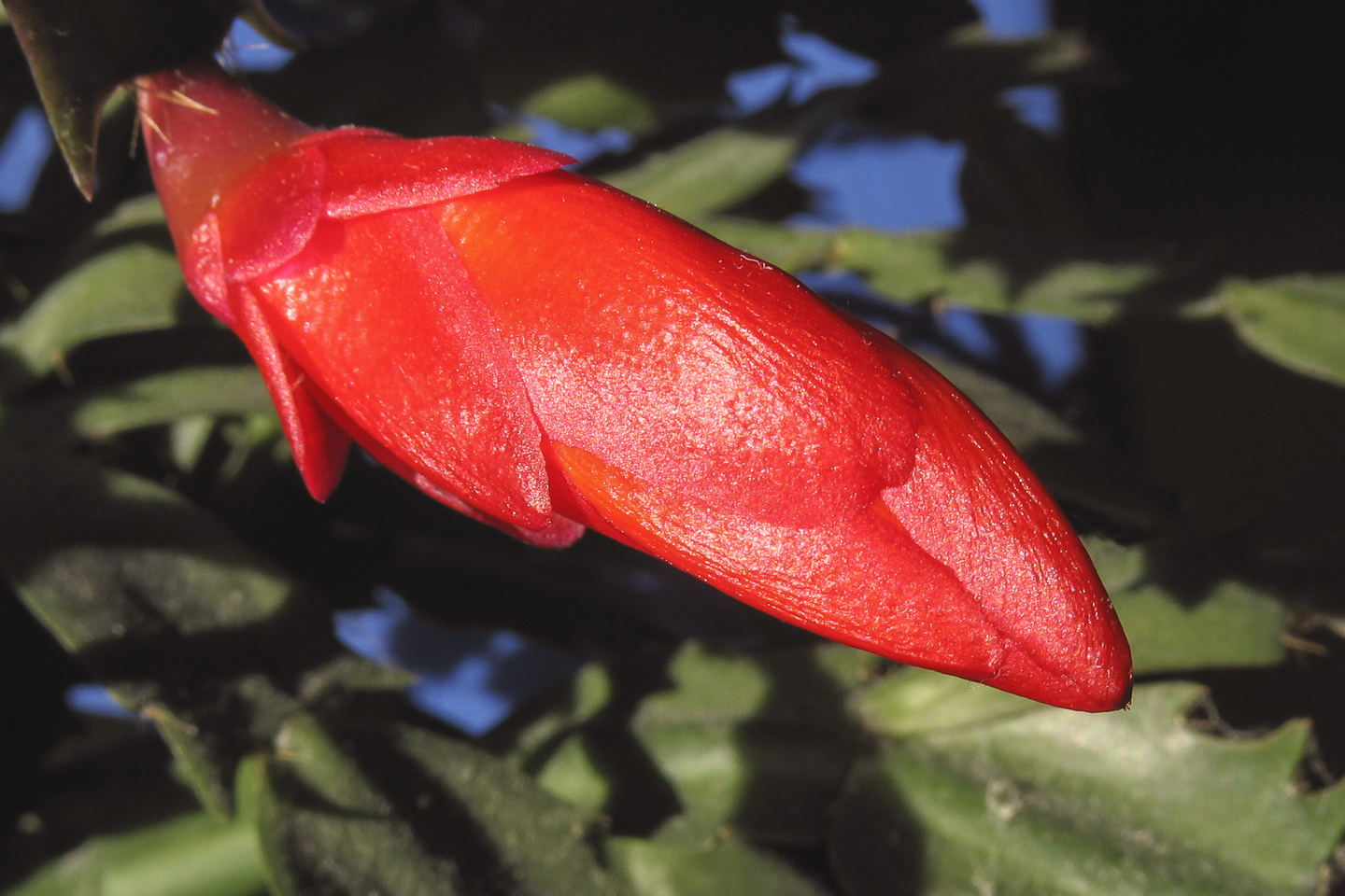 7.3 mm  1/100 Sek. bei f / 8,0