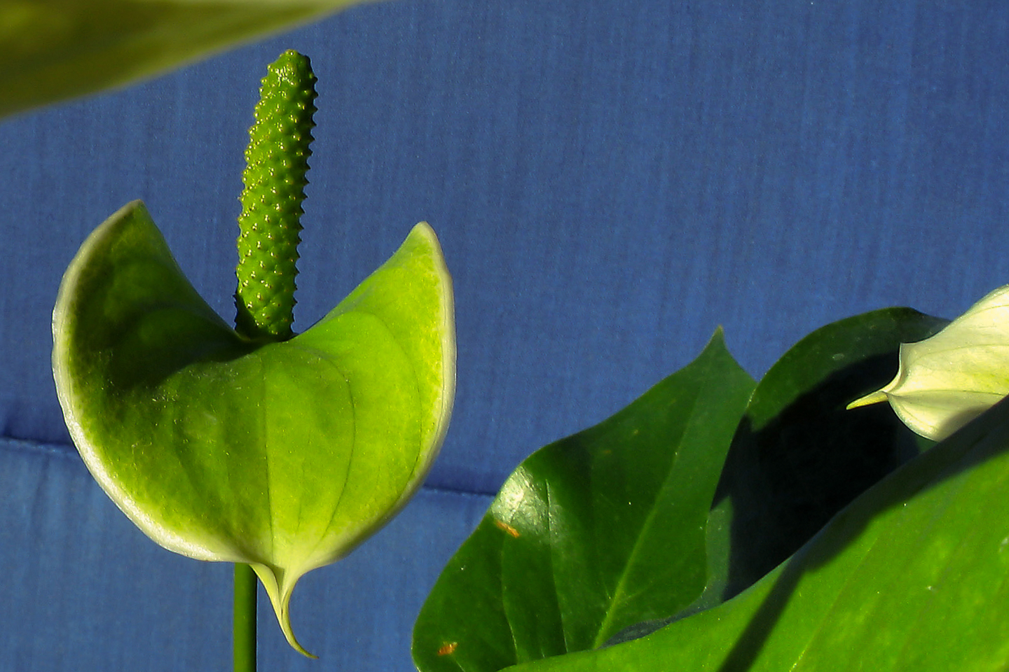 8.46 mm  1/60 Sek. bei f / 8,0