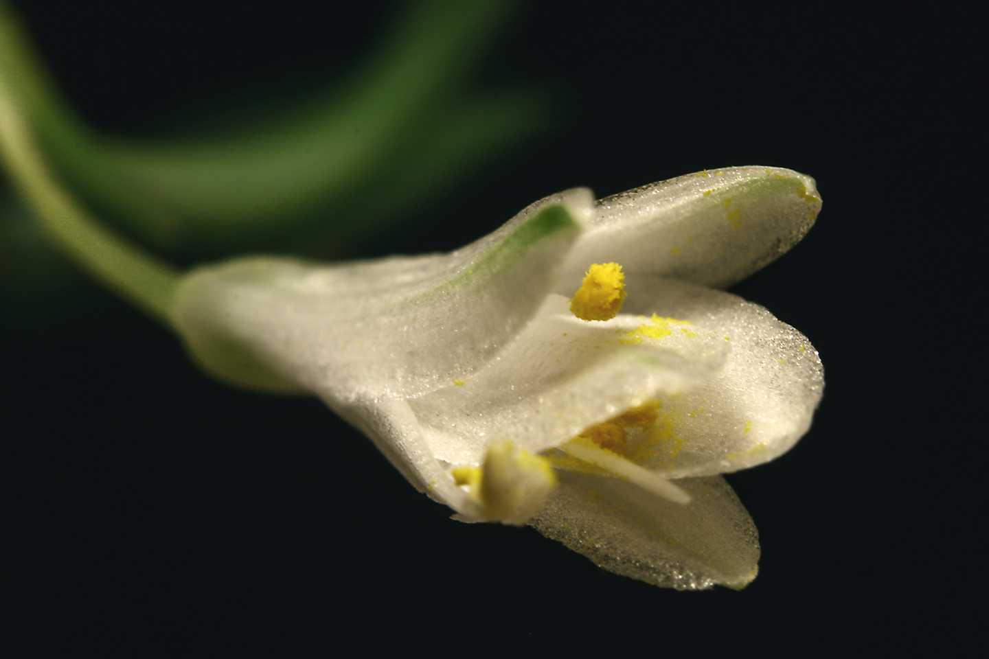 300 mm  1/4 Sek. bei f / 16