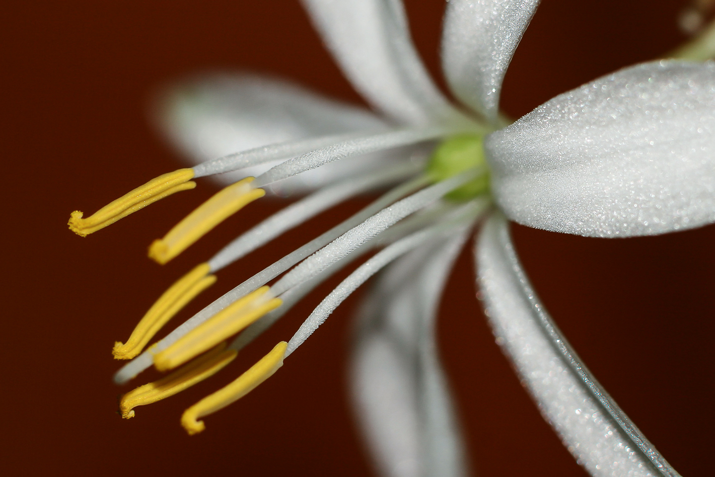 150 mm  1/250 Sek. bei f / 5,6