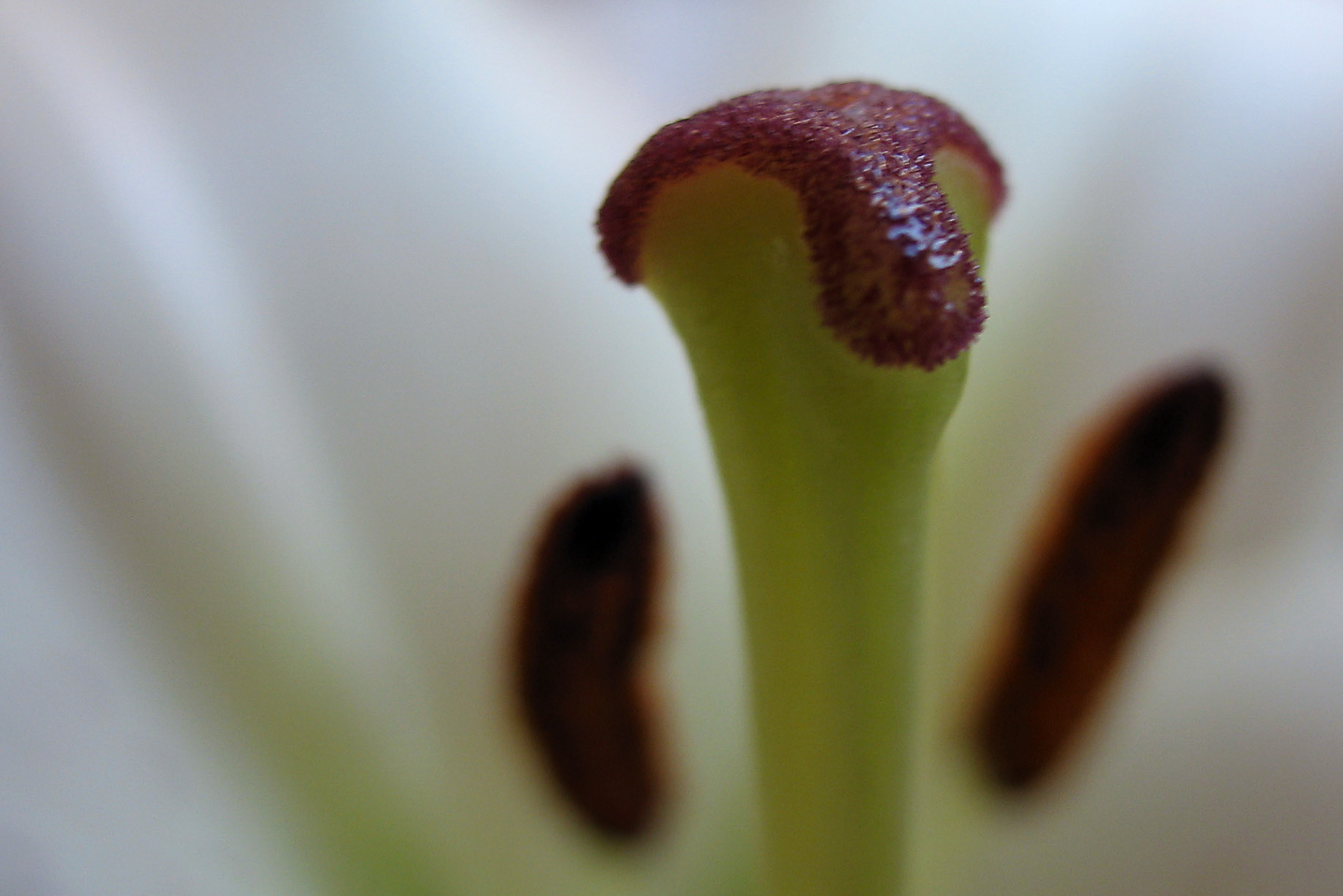 7.3 mm  1/40 Sek. bei f / 2,8