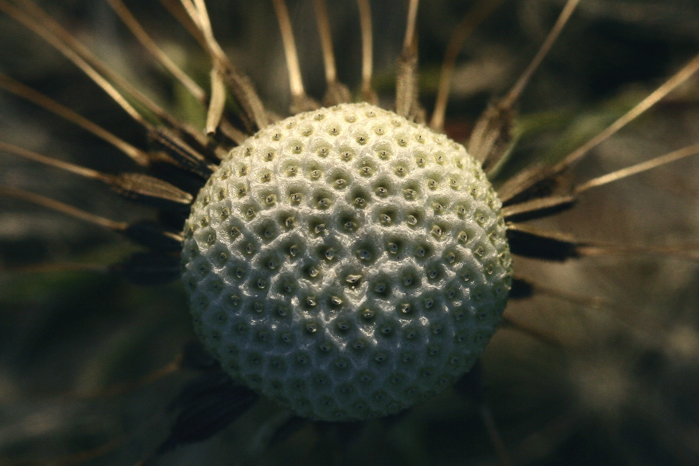 150 mm  1/500 Sek. bei f / 8,0