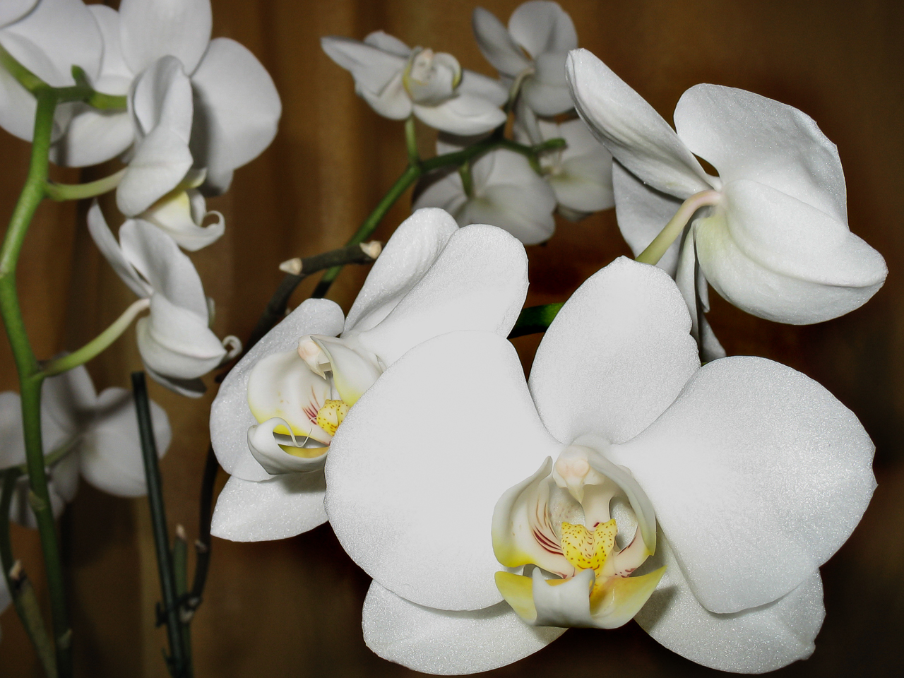 7.3 mm  1/100 Sek. bei f / 6,3