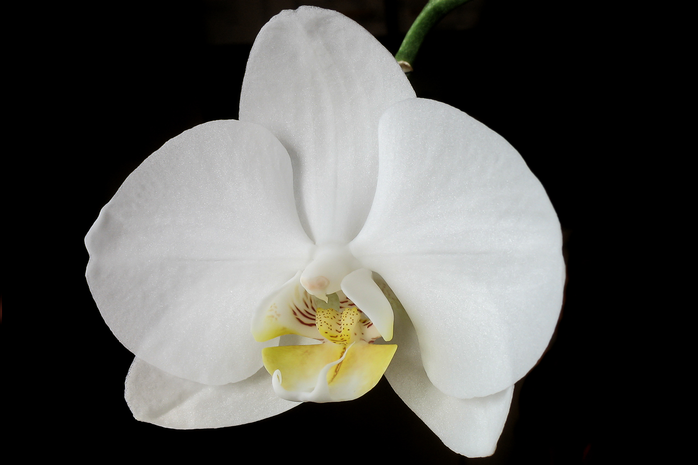 7.3 mm  1/60 Sek. bei f / 5,6