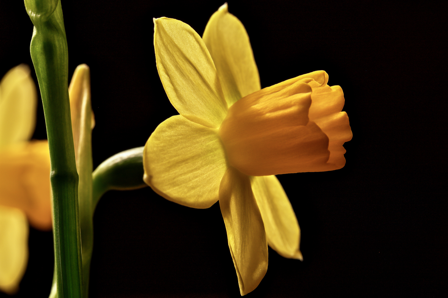 60 mm  1,0 Sek. bei f / 11