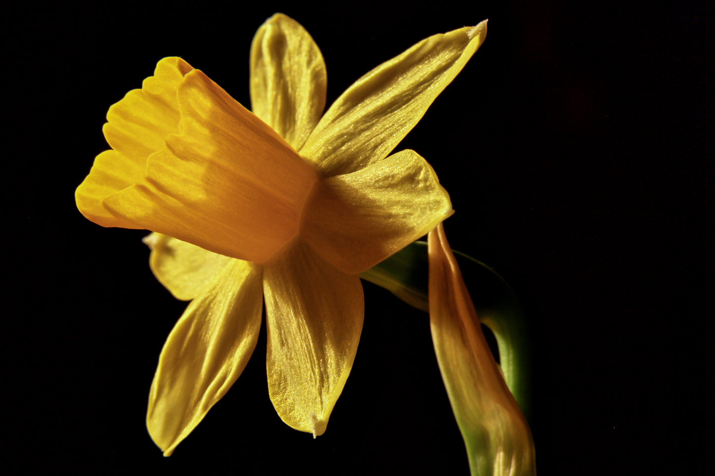 60 mm  1,5 Sek. bei f / 16