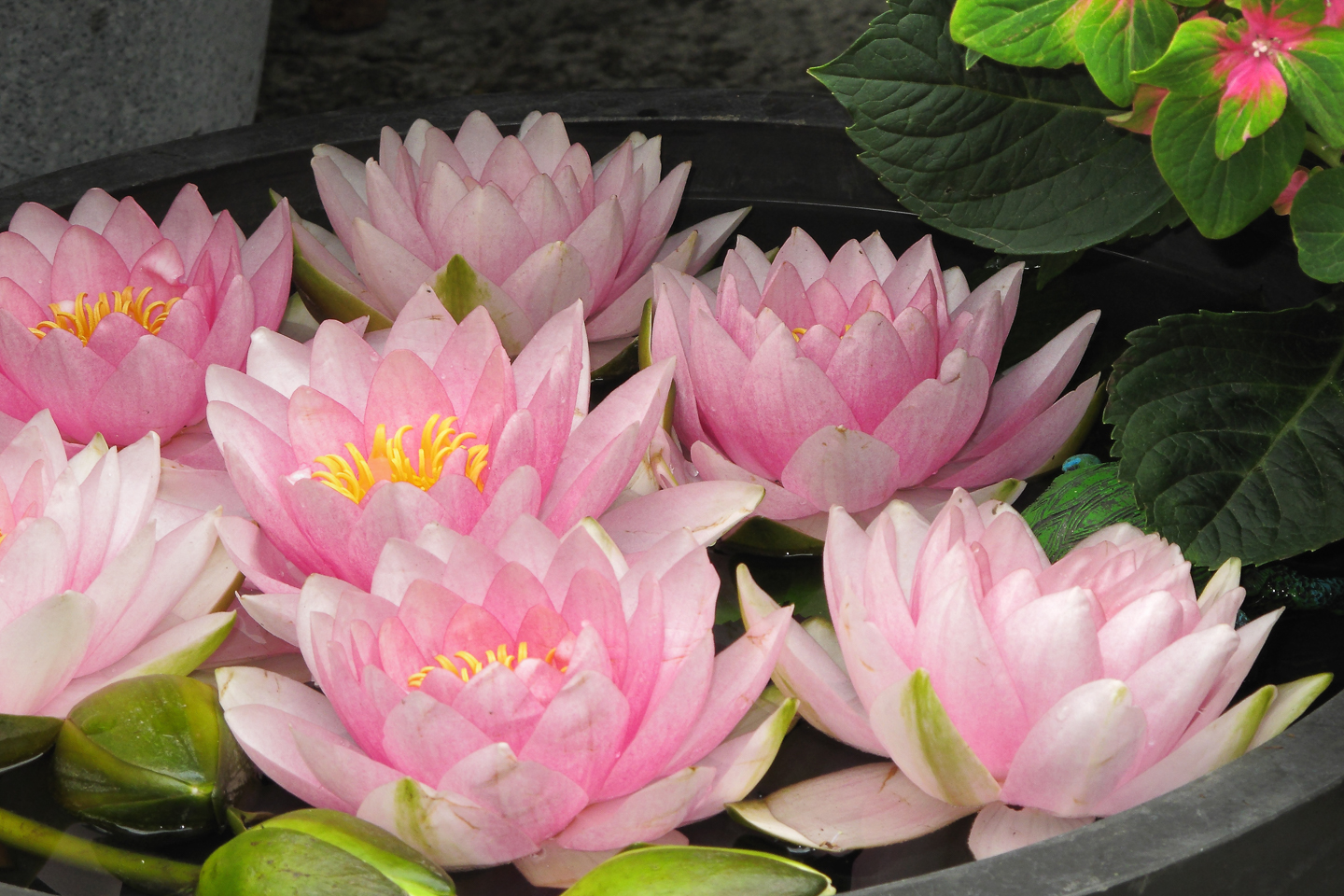 30.5 mm  1/200 Sek. bei f / 5,6