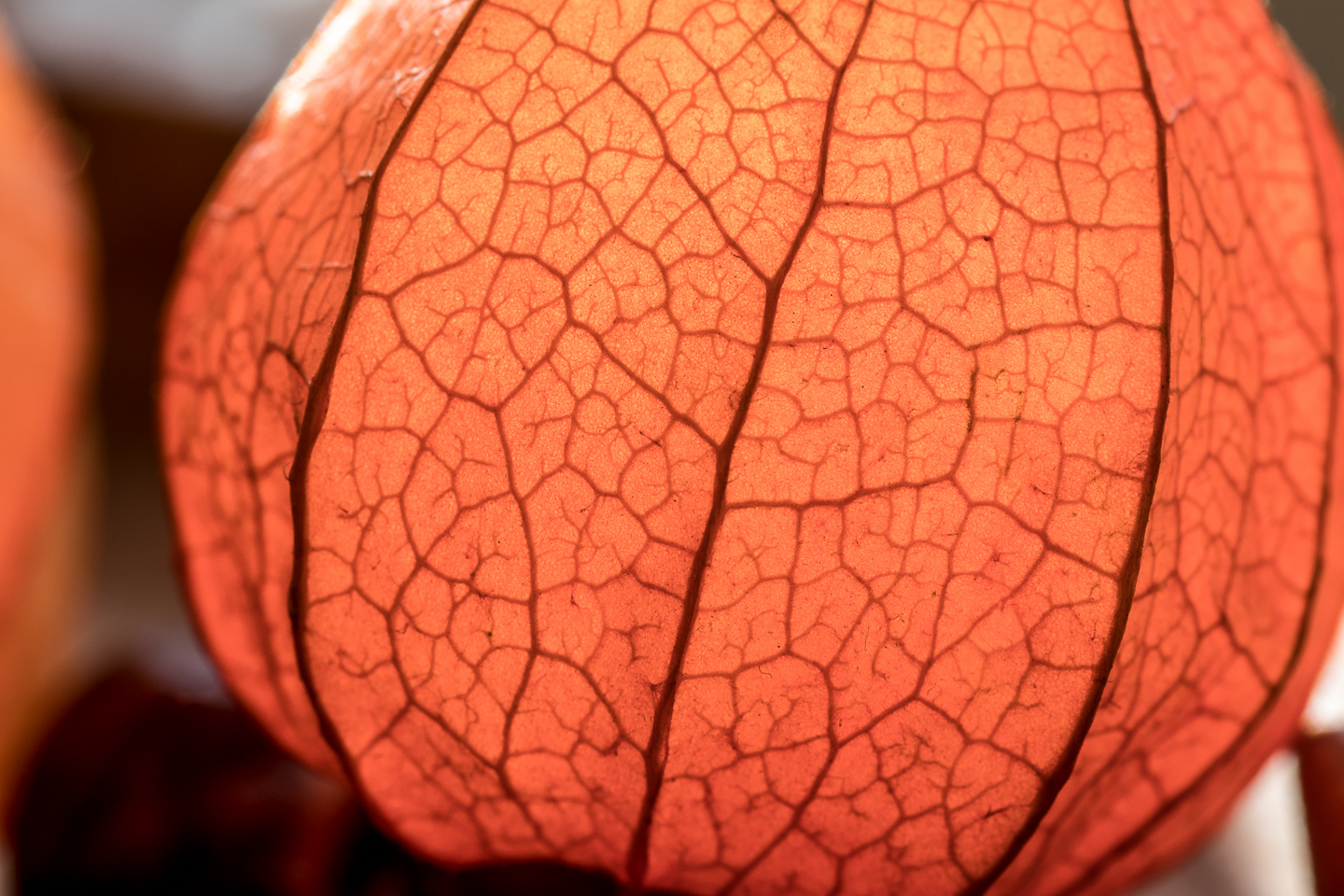 100 mm  1/8 Sek. bei f / 11