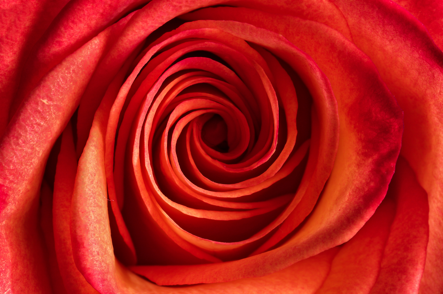 60 mm  1,0 Sek. bei f / 16