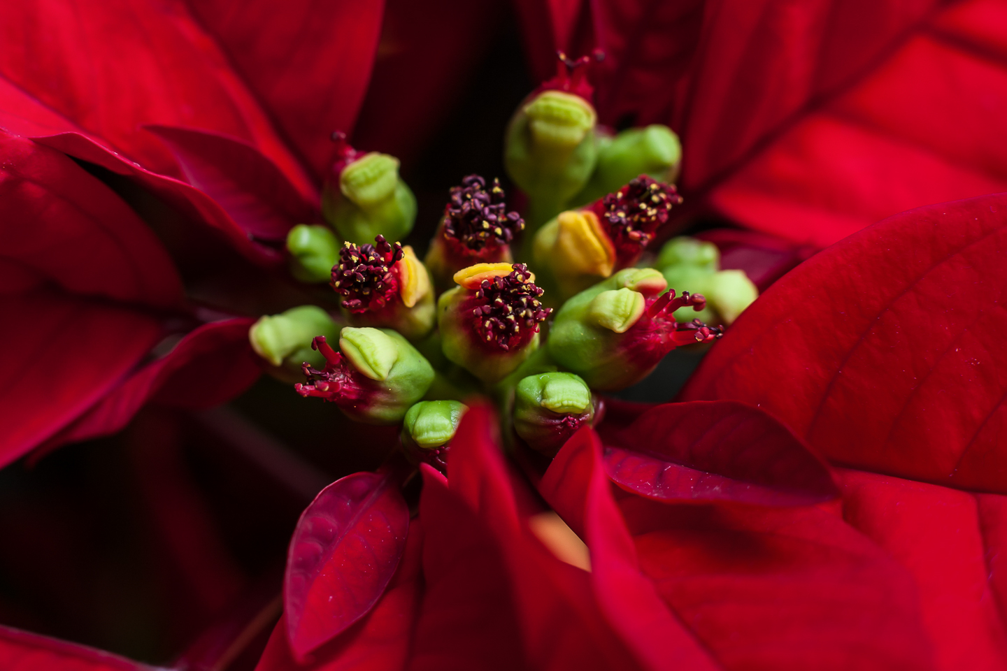 50 mm  1/60 Sek. bei f / 5,6