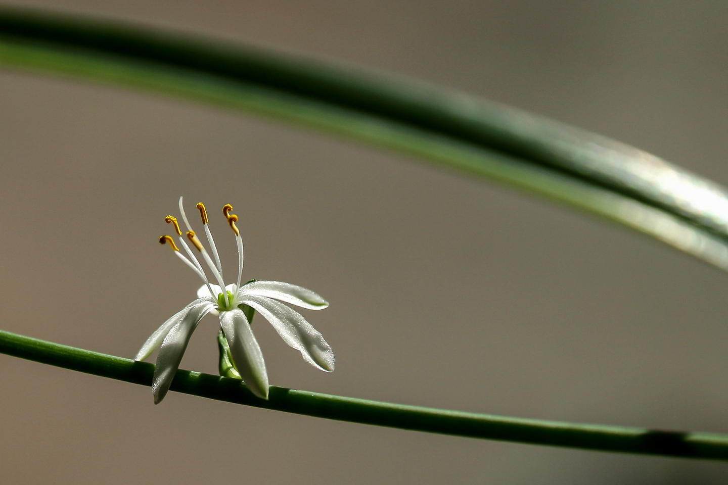 125 mm  1/640 Sek. bei f / 5,6
