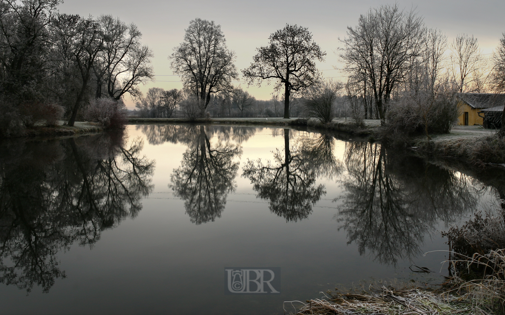 Der Weiher in Erching