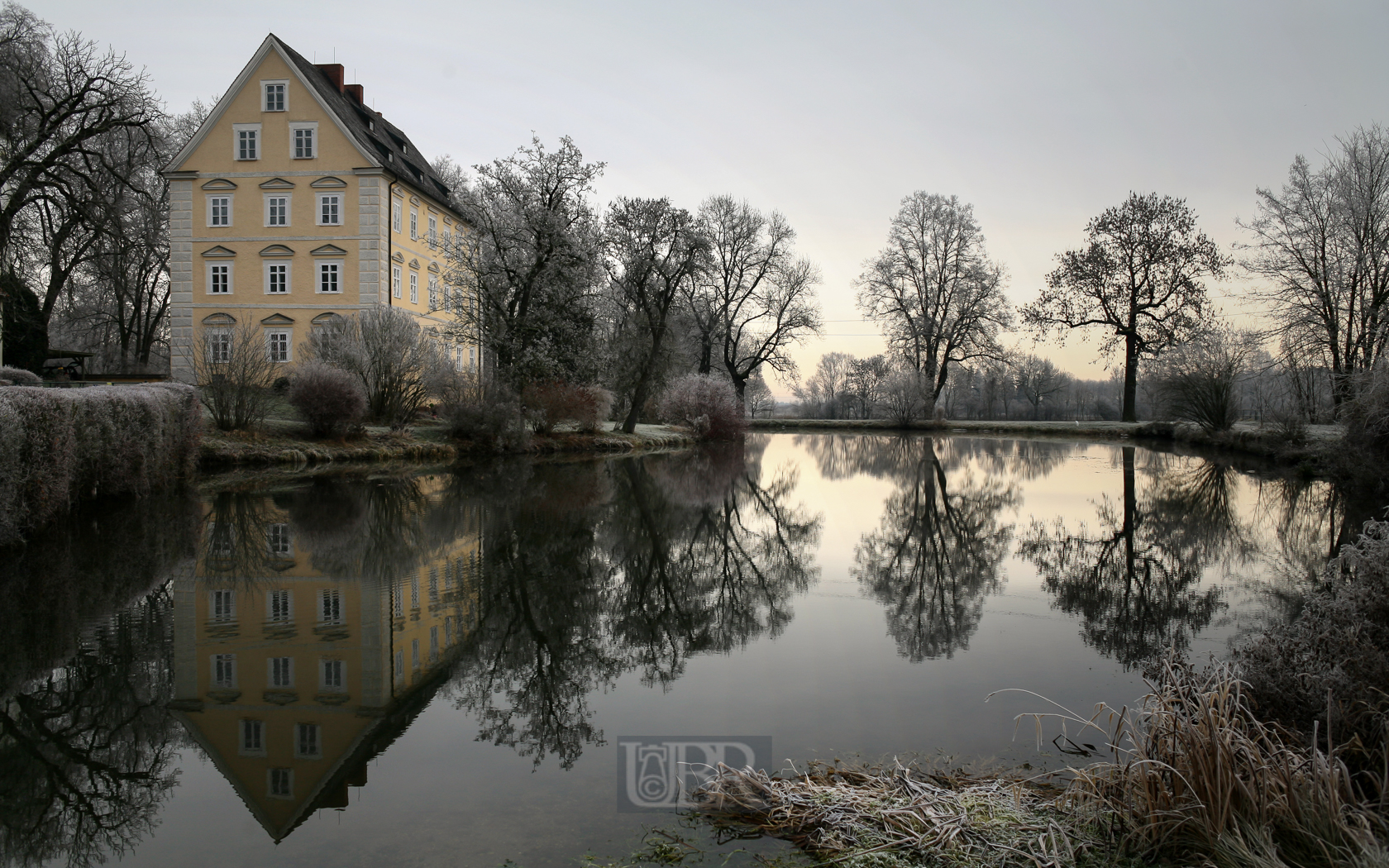 Der Weiher in Erching