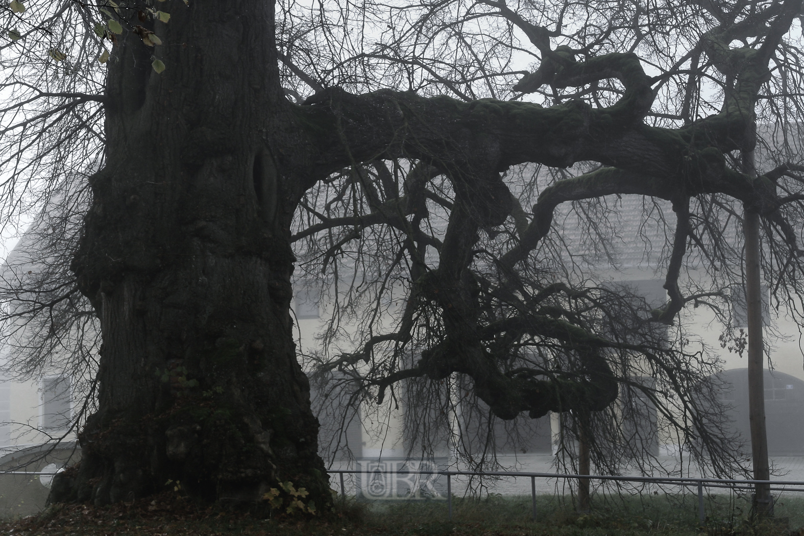 Schlossgut Erching im Nebel