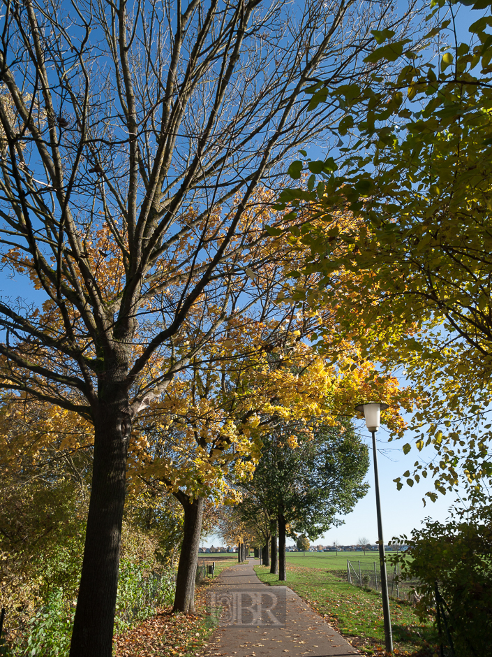 scheissallee_herbstfarben