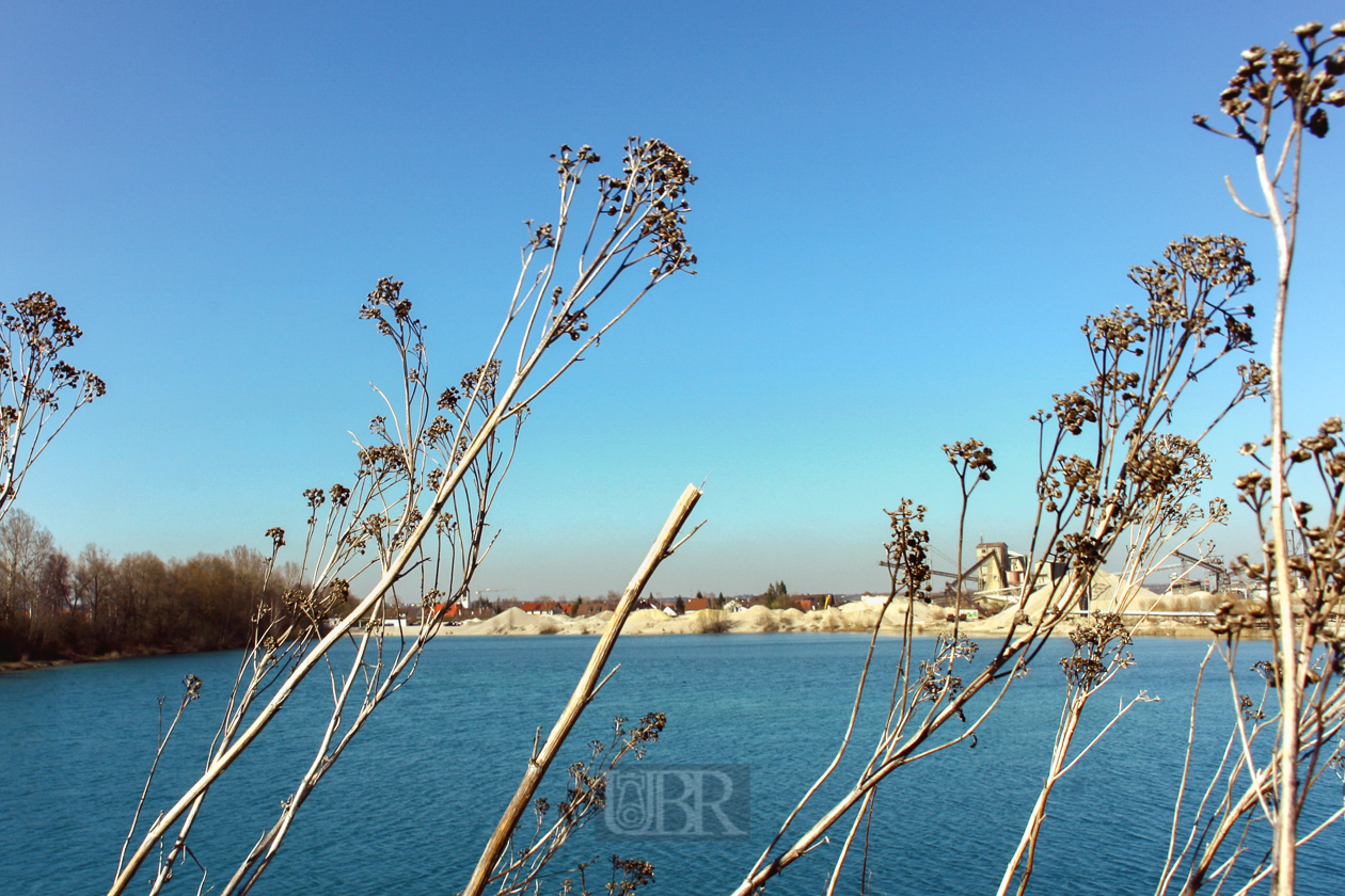 pullinger_weiher_03_mit_rainfarn