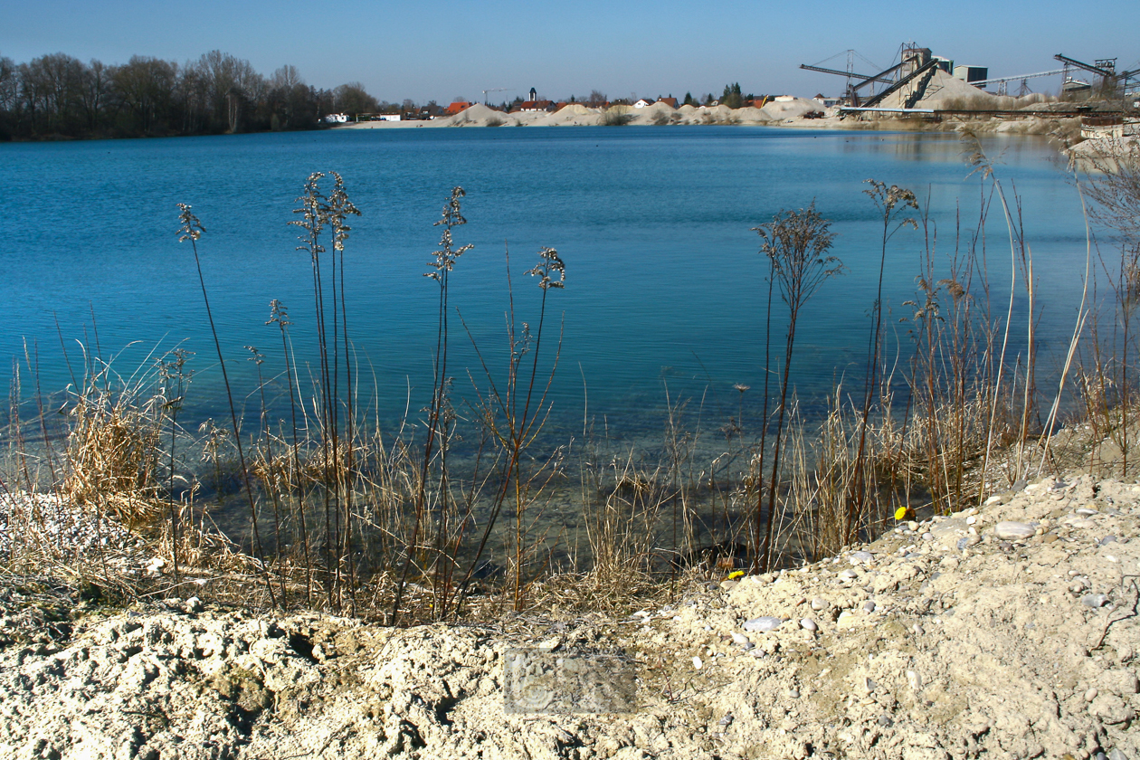 pullinger_weiher_04_mit_goldrute