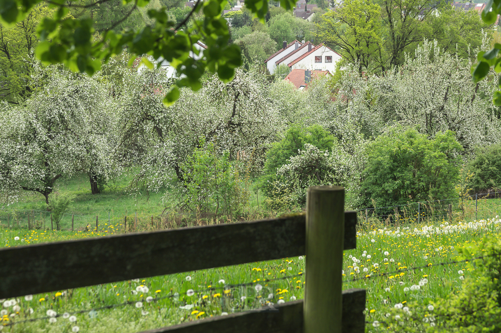 Blick vom Hügel des Schafhofs