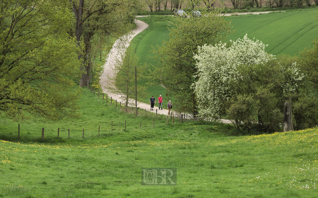 Blick vom Hügel des Schafhofs