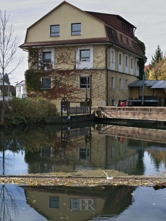 Am Lohmühlenbach beim Tierazt