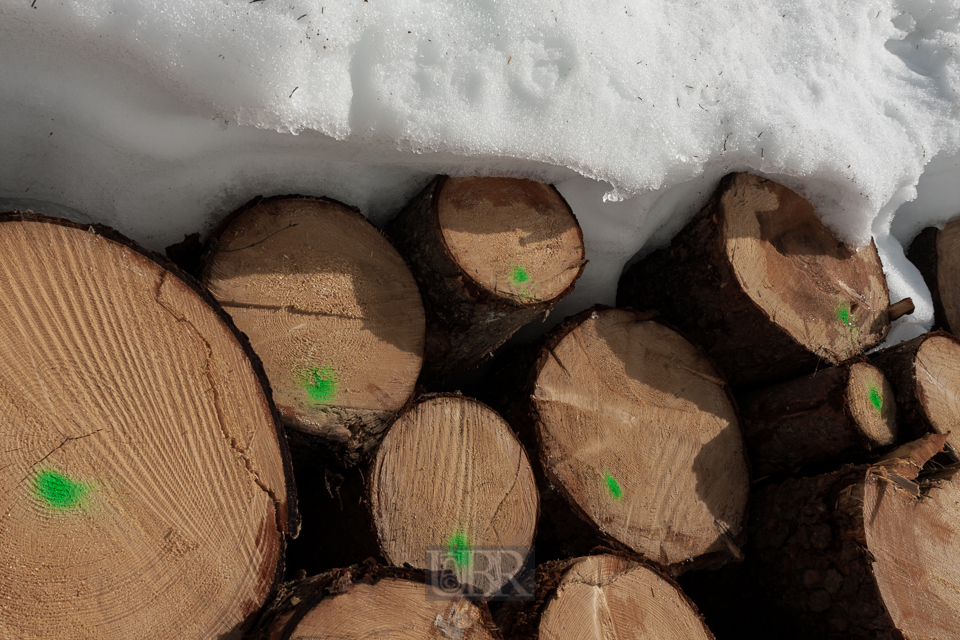 Spaziergang im hohen Schnee