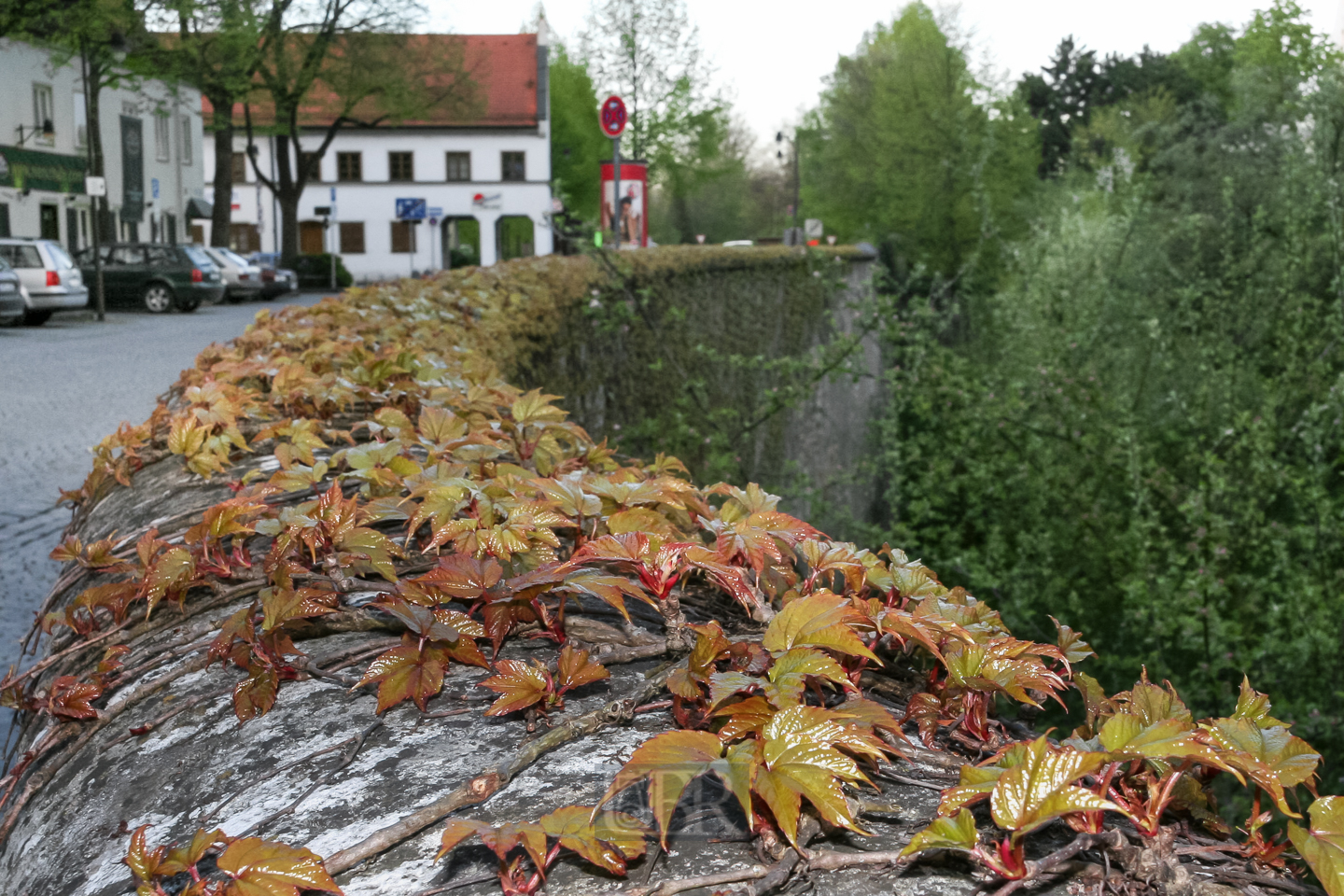 Mauer zum Schloss-Graben