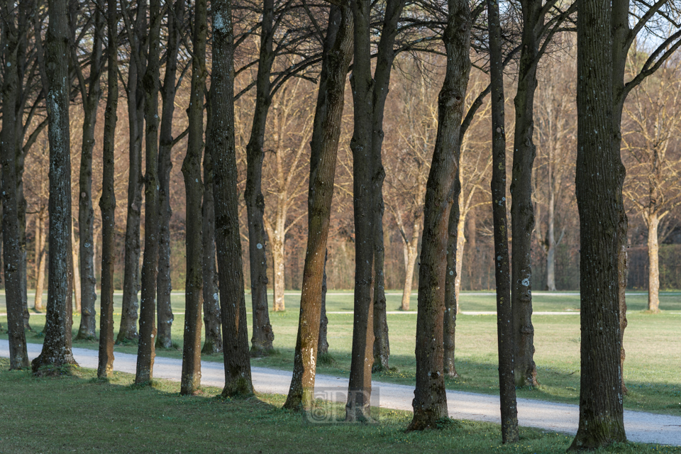 Spaziergänge im Schlossgarten