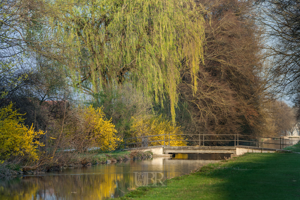 Spaziergänge im Schlossgarten