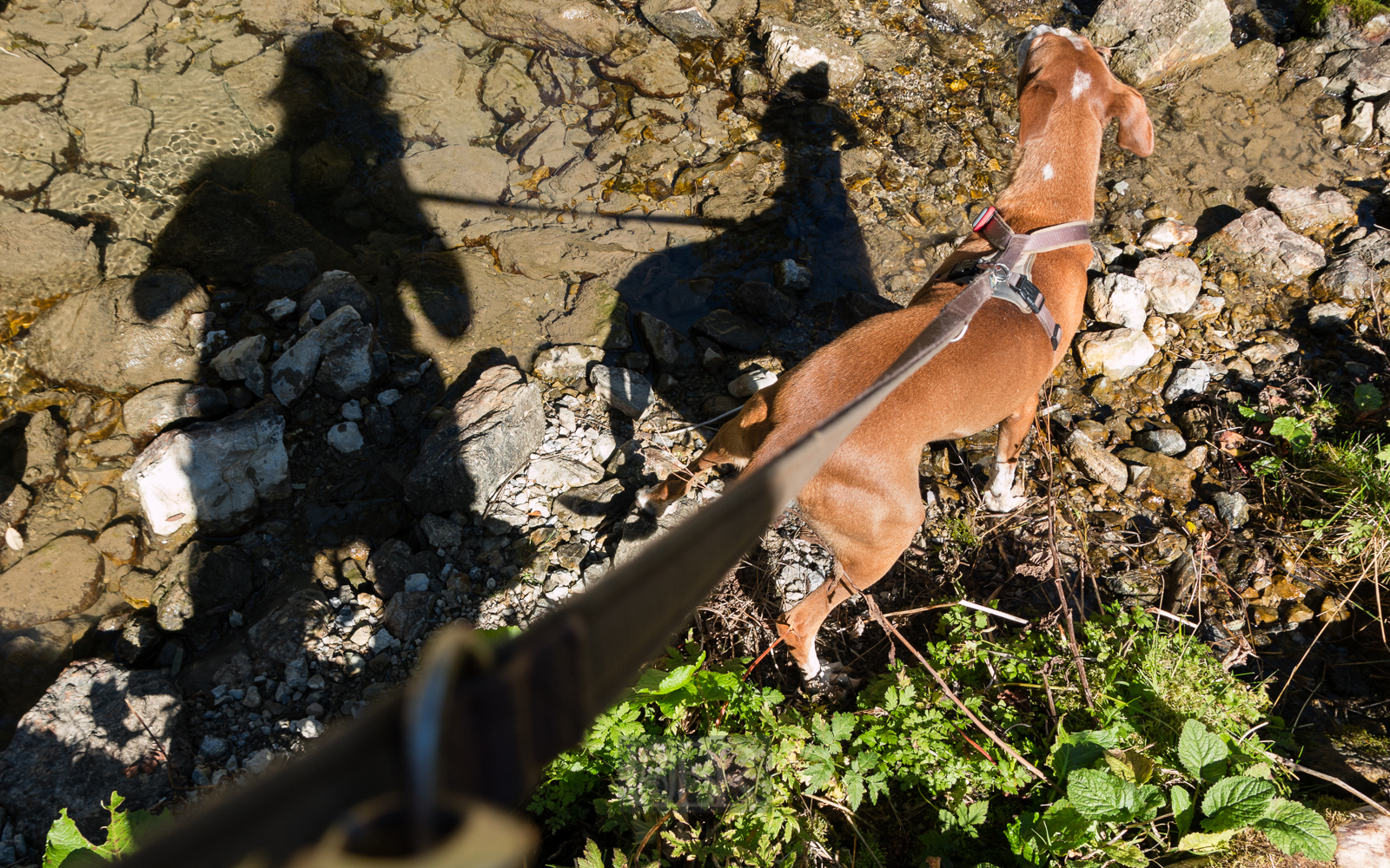 taubenstein_rotwand_10