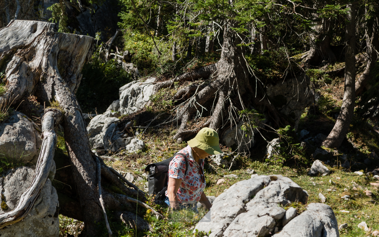 taubenstein_rotwand_11