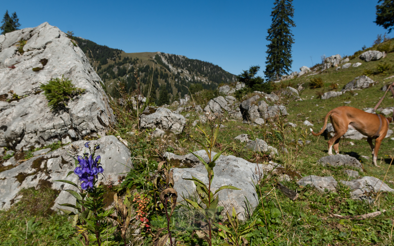 taubenstein_rotwand_4
