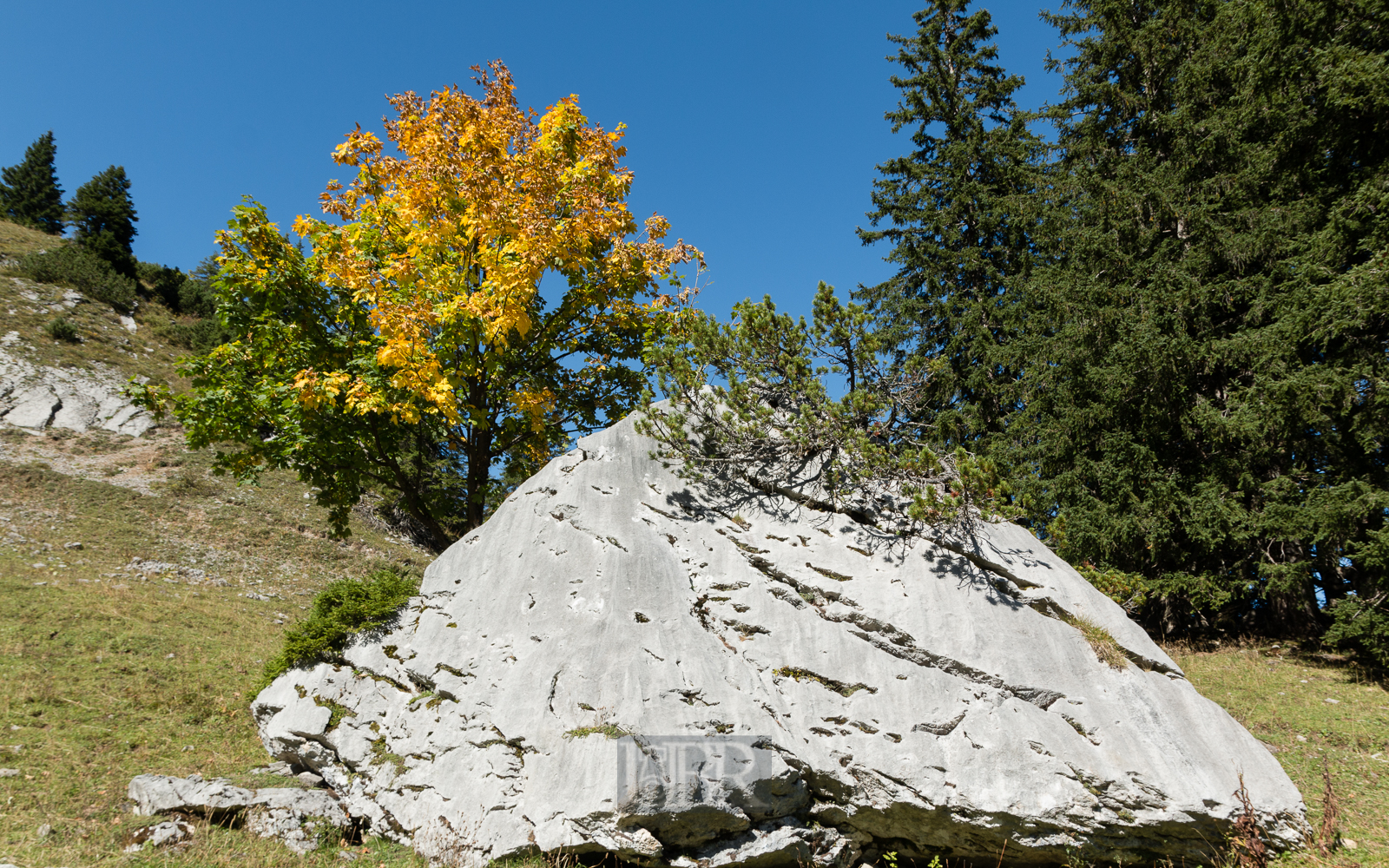 taubenstein_rotwand_5