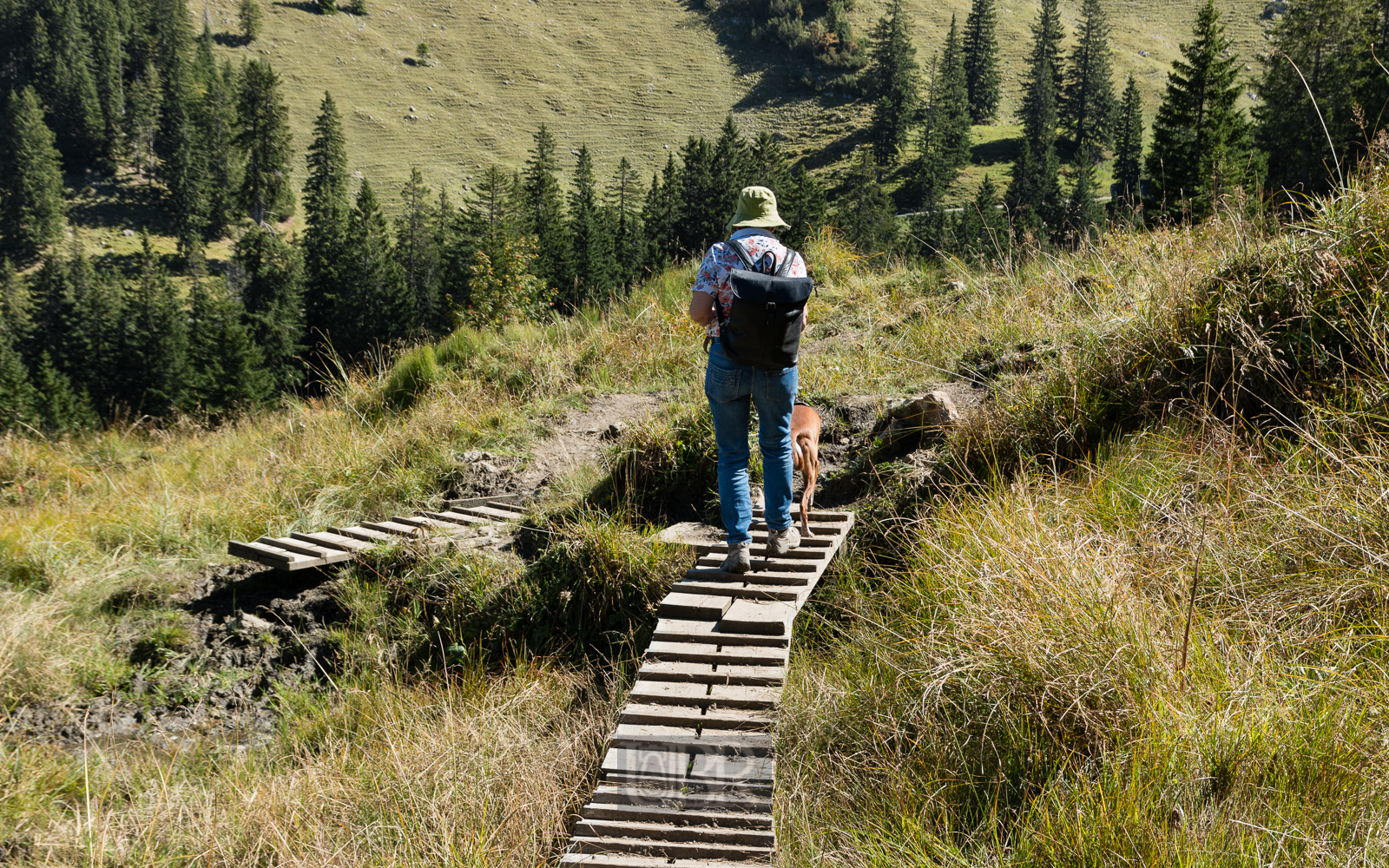 taubenstein_rotwand_6