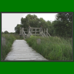 ra_03_es_gruent_so_gruen_10_trockenmoor.jpg
