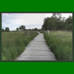 ra_03_es_gruent_so_gruen_11_trockenmoor.jpg