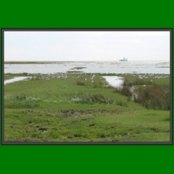 ra_03_es_gruent_so_gruen_13_juist_suedstrand.jpg