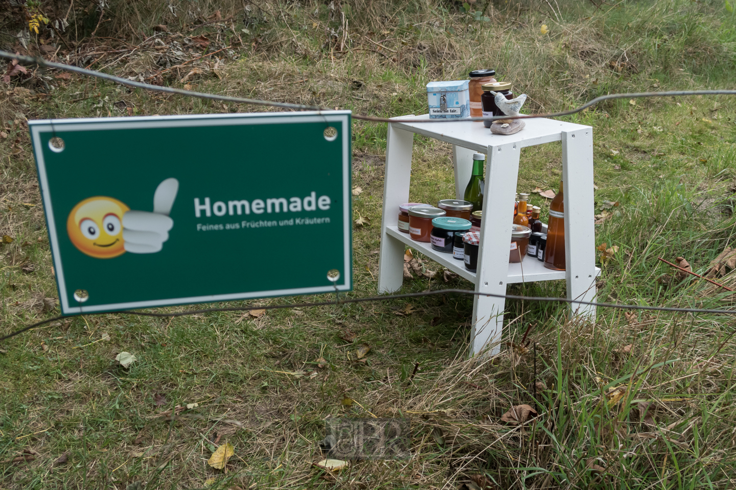 Auf Hiddensee - beim 'Klausner' und anderswo